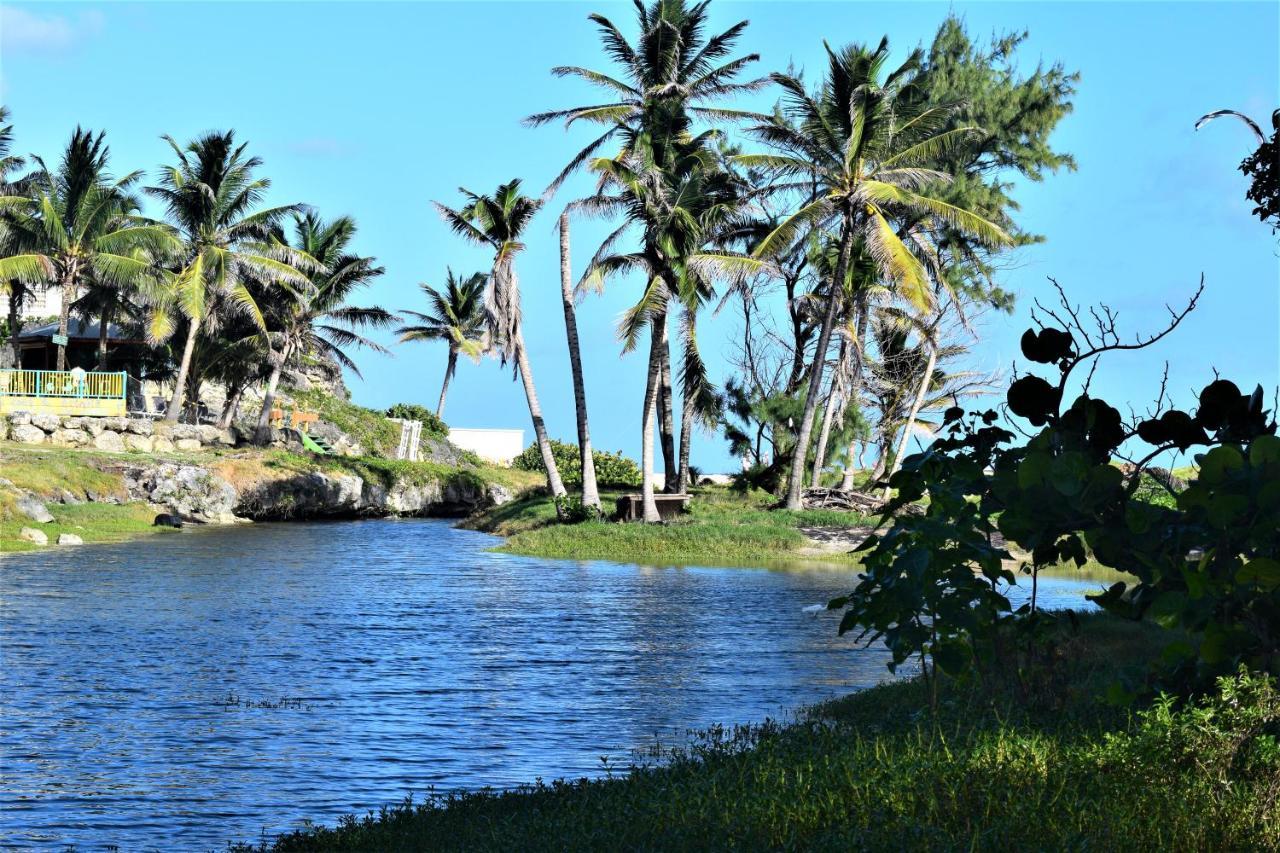 Coconut Walk Beach Apartment Christ Church Exterior foto