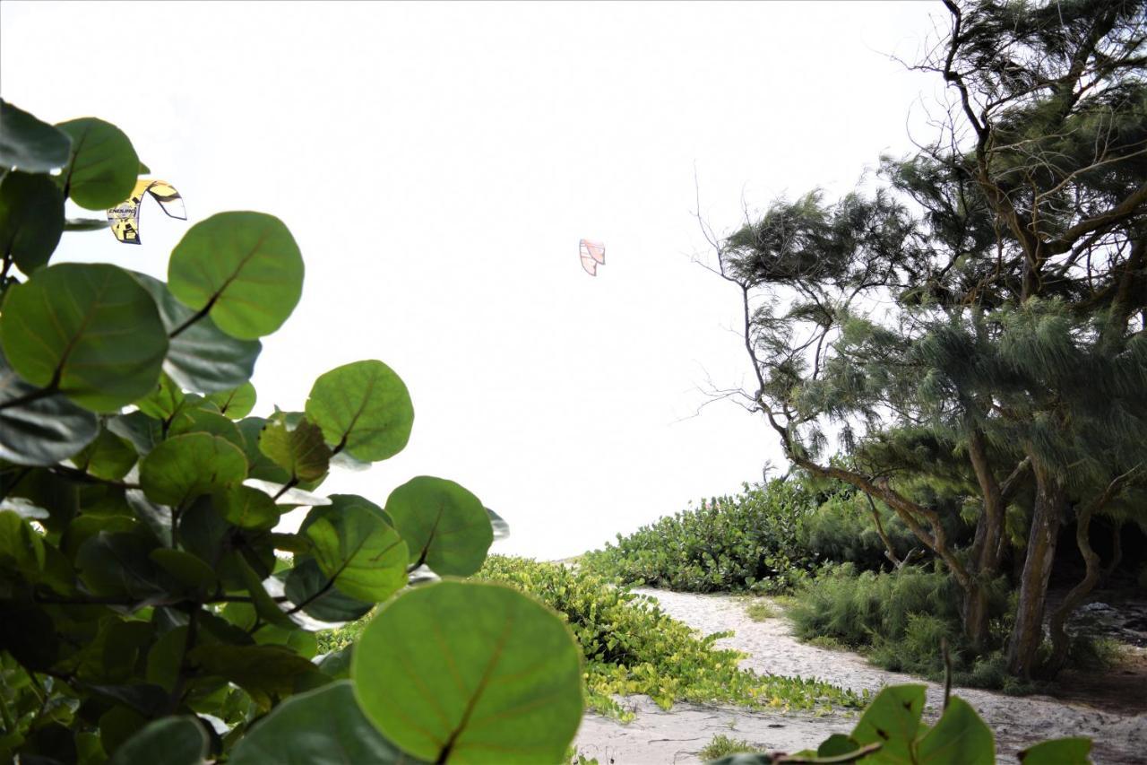 Coconut Walk Beach Apartment Christ Church Exterior foto